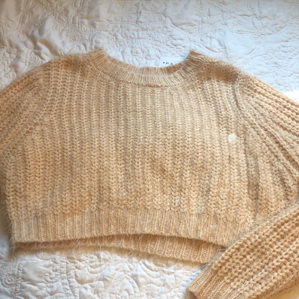🎊2 for 30 🎊 pacsun crop sweater